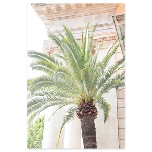 Palm Tree Art Print - France Travel Photography - Framed Art - Bedroom Office Living Room Wall Decor - Vertical Wall Art