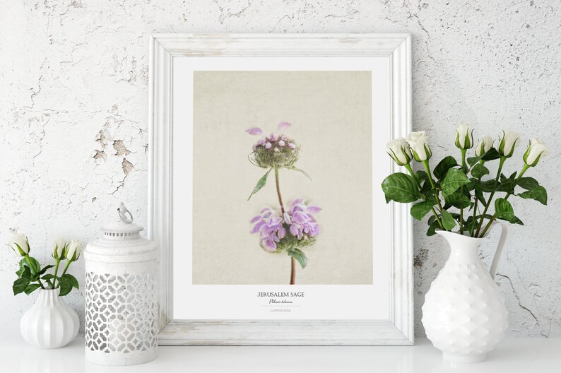 Flower Poster Modern Farmhouse Wall Decor Still Life Photography Art Print Botanical Art Country Home Decor Gift for Her image 3