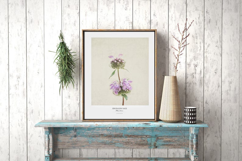 Flower Poster Modern Farmhouse Wall Decor Still Life Photography Art Print Botanical Art Country Home Decor Gift for Her image 6