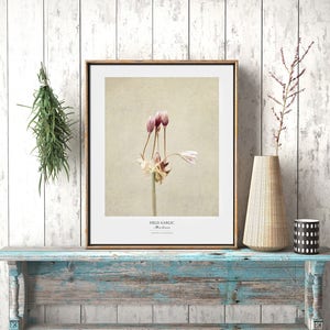 Flower Poster Modern Farmhouse Wall Decor Still Life Photography Art Print Botanical Art Gift for Her Country Kitchen Wall Decor image 5