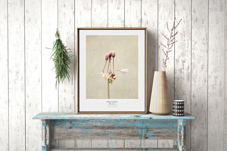 Flower Poster Modern Farmhouse Wall Decor Still Life Photography Art Print Botanical Art Gift for Her Country Kitchen Wall Decor image 5