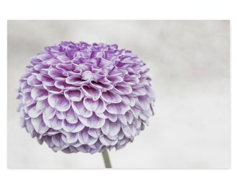 Flower Photography Art Print - Purple Dahlia Closeup - Bedroom Living Room Wall Decor - Gift for Mom - Floral Wall Art