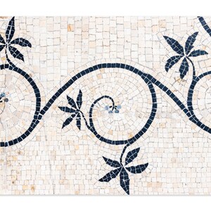 Florale Wandkunst - Mosaikfliesen Kunstdruck – Frankreich Reisefotografie – Neutrale Farben Musterkunst – Beige und schwarze horizontale Wanddekoration