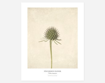 Flower Poster - Modern Farmhouse Wall Decor - Still Life Photography Art Print - Botanical Art - Country Kitchen Wall Decor