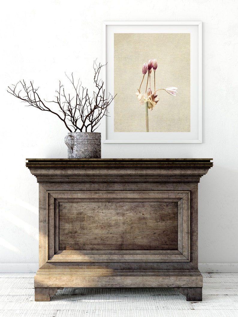 Flower Photography Still Life Prints Botanical Wall Art Farmhouse, Rustic Wall Decor Ail des Jardins Canvas Wall Art image 6