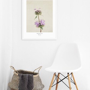 Flower Poster Modern Farmhouse Wall Decor Still Life Photography Art Print Botanical Art Country Home Decor Gift for Her image 4