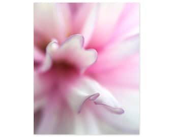 Flower Photography - Framed Art Print - Pink Wall Art - Floral Wall Decor