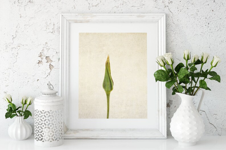 Flower Photography Still Life Prints Botanical Wall Art Rustic, Farmhouse, Shabby Chic Office, Living Room Canvas Wall Decor image 7