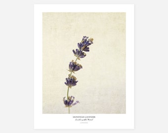 Lavender Flower Poster - Modern Farmhouse Wall Decor - Still Life Photography Art Print - Kitchen Wall Art - Gift for Her