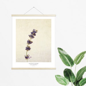 Lavender Flower Poster Modern Farmhouse Wall Decor Still Life Photography Art Print Kitchen Wall Art Gift for Her image 4