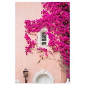 French Riviera Art Print – Pink Bougainvillea, Saint-Jean-Cap-Ferrat