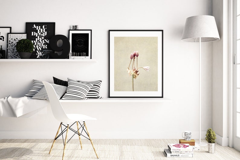 Flower Photography Still Life Prints Botanical Wall Art Farmhouse, Rustic Wall Decor Ail des Jardins Canvas Wall Art image 5