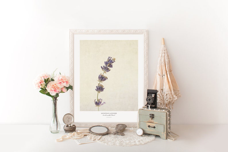 Lavender Flower Poster Modern Farmhouse Wall Decor Still Life Photography Art Print Kitchen Wall Art Gift for Her image 5