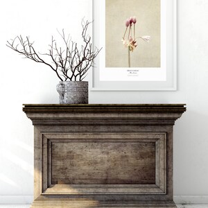 Flower Poster Modern Farmhouse Wall Decor Still Life Photography Art Print Botanical Art Gift for Her Country Kitchen Wall Decor image 3