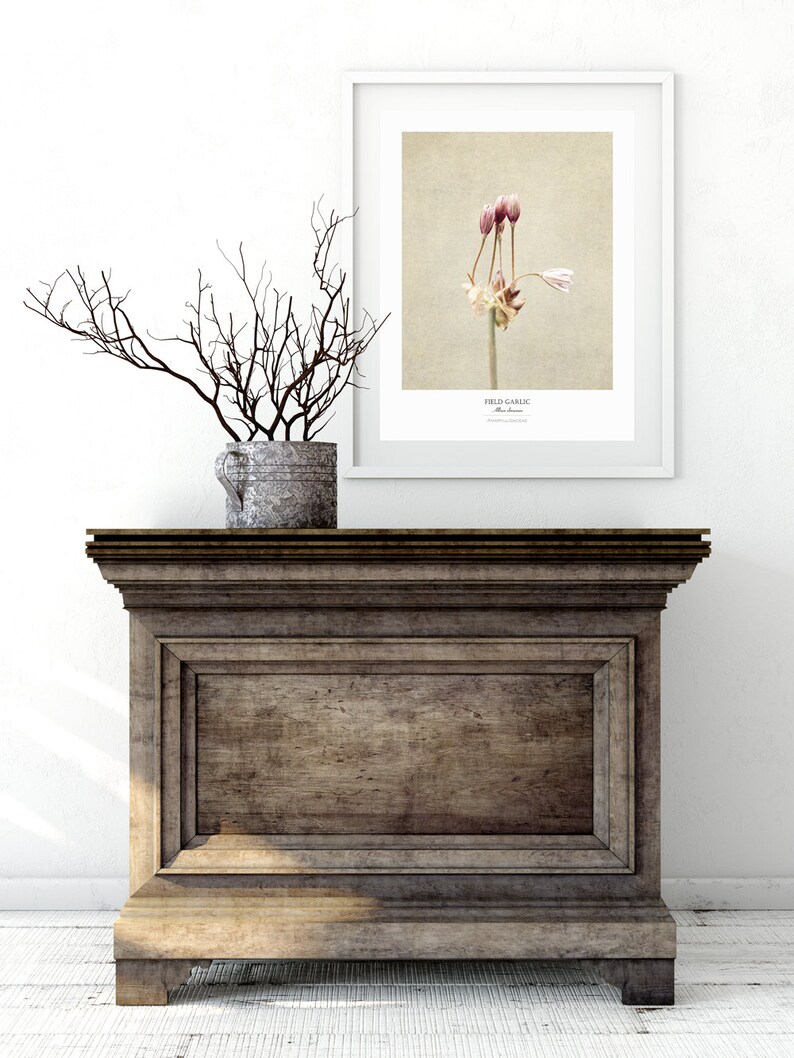 Flower Poster Modern Farmhouse Wall Decor Still Life Photography Art Print Botanical Art Gift for Her Country Kitchen Wall Decor image 3