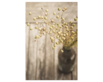 Still Life Photography - Neutral Colors Wall Art - Plant Art Prints - Rustic Farmhouse Wall Decor - Kitchen Wall Art