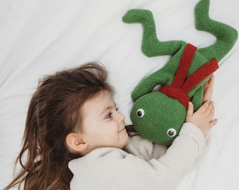 Giocattolo a sacco a forma di rana, rana di lana ripiena di ceci secchi, rana a sacco personalizzata e fatta a mano