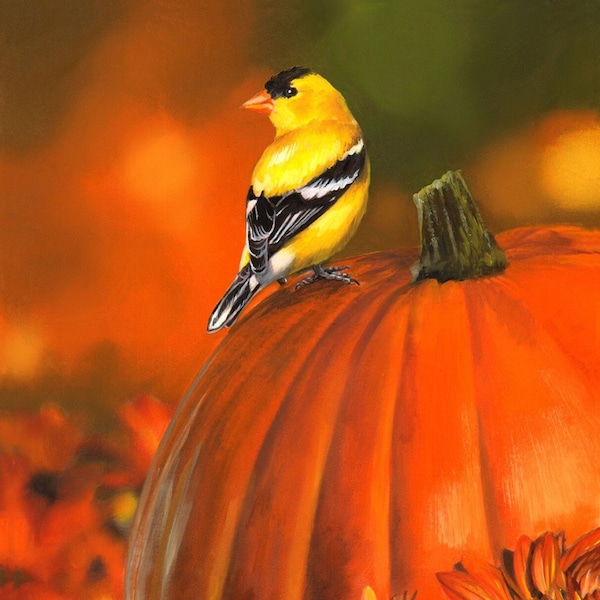 MHS Licensing~David Textiles~35" x 43" Goldfinch & Pumpkin Panel~Digital~Cotton Fabric by the Panel ML31930C1