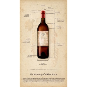 Puede incluir: Diagrama de una botella de vino con etiquetas que identifican las diferentes partes de la botella, incluyendo la boca, el cierre, el labio, la cápsula, el acabado, el cuello, el hombro, el cuerpo, el punto, el talón y la etiqueta. La botella está etiquetada como "Chateau de Montagne".