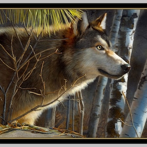 Quilting Treasures~Majestic Wolves~24.5&quot; x 43&quot; Wolf Panel~Digital~Black~Cotton Fabric by the Panel 28224-J