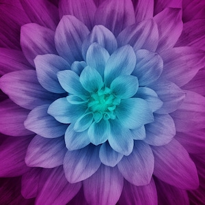 Hoffman~Dream Bigger~108&quot; x 108&quot; LARGE Dahlia Flower Panel~Aurora~Cotton Fabric by the Panel WP4389-532