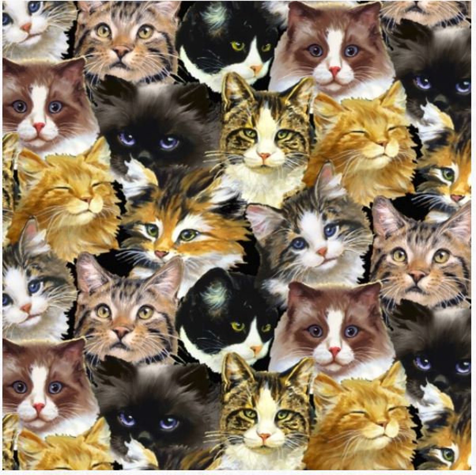 Stupid cat collage. Кэт коллаж. Котики картинки коллаж. Коллаж с котятами. Кэт коллаж.