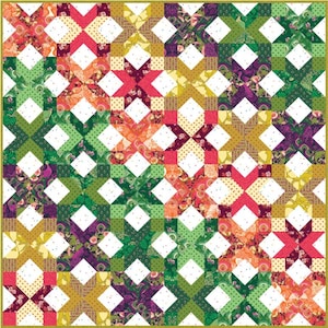 Quilt Kit~Ironwood Point~66&quot; x 66&quot; Wild Abandon by Heather Bailey Throw Quilt (Includes pattern & fabric for quilt top/binding) AAFQK-1366