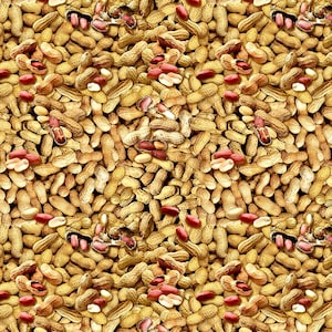 Kanvas by Benartex~Ale House~In Shell Peanuts~Natural~Cotton Fabric by the Yard or Select Length 12749B-70