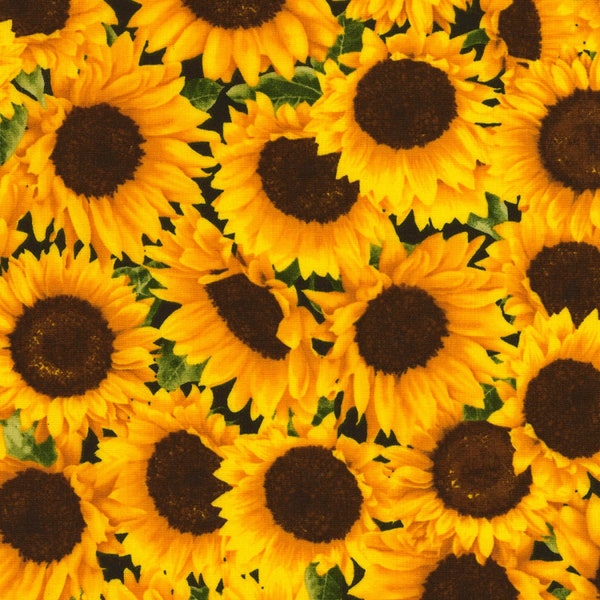 Timeless Treasures~Sunflower Farm~Sunflowers~Yellow~Cotton Fabric by the Yard or Select Length C5253-SUNFL