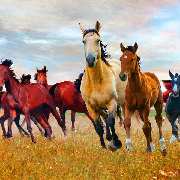 Licencia de arte~David Textiles~34.25" x 43.5" Panel de caballos salvajes en la naturaleza~Digital~Multi~Tela de algodón del panel AL44550C1