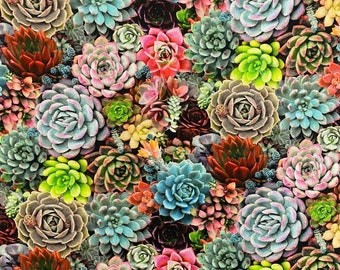 Elizabeths Studio Succulent Charm Packed Succulents Multi Cotton Fabric by the Yard or Select Length 598E-MLT