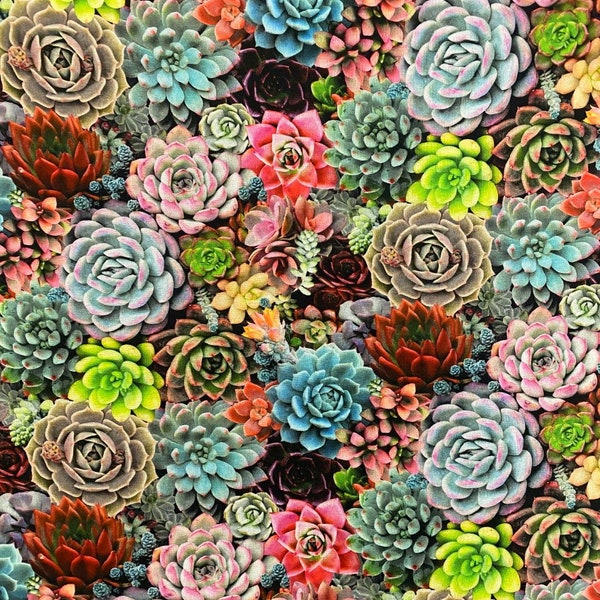 Elizabeths Studio~Succulent Charm~Packed Succulents~Multi~Cotton Fabric by the Yard or Select Length 598E-MLT