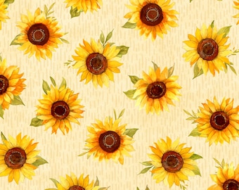 ひまわりページ ひまわり栽培キット - SEISHIN PLUS