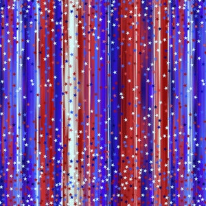 EOB~Timeless Treasures~Lady Liberty~Rain Shine Stars and Stripes~USA~Cotton Fabric by the Yard or Select Length CD2096-USA
