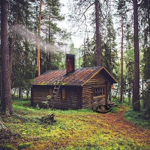 Könnte beinhalten: Eine kleine Holzhütte mit einem braunen Dach steht in einem dichten Wald. Die Hütte hat einen Schornstein und eine Leiter an der Seite. Ein kleines Holzboot steht vor der Hütte.