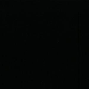 May include: A solid, uniform, and completely black surface that lacks any visible texture, patterns, or distinct features. The image consists entirely of a deep, dark, and consistent black color that fills the entire frame from edge to edge.