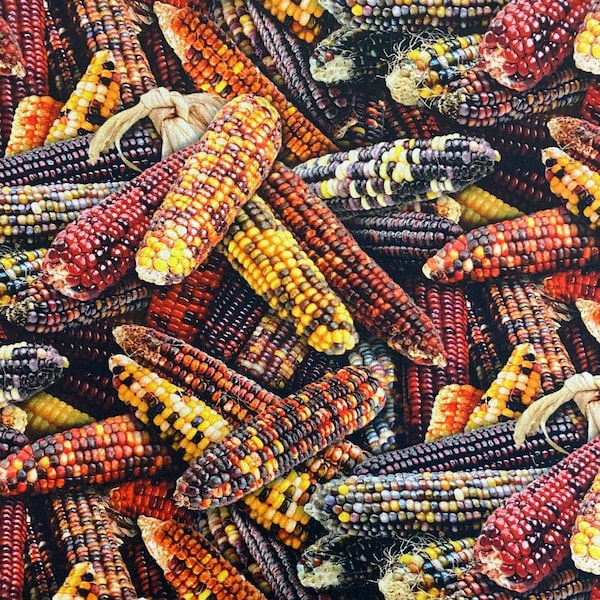Indian Corn Fabric Etsy