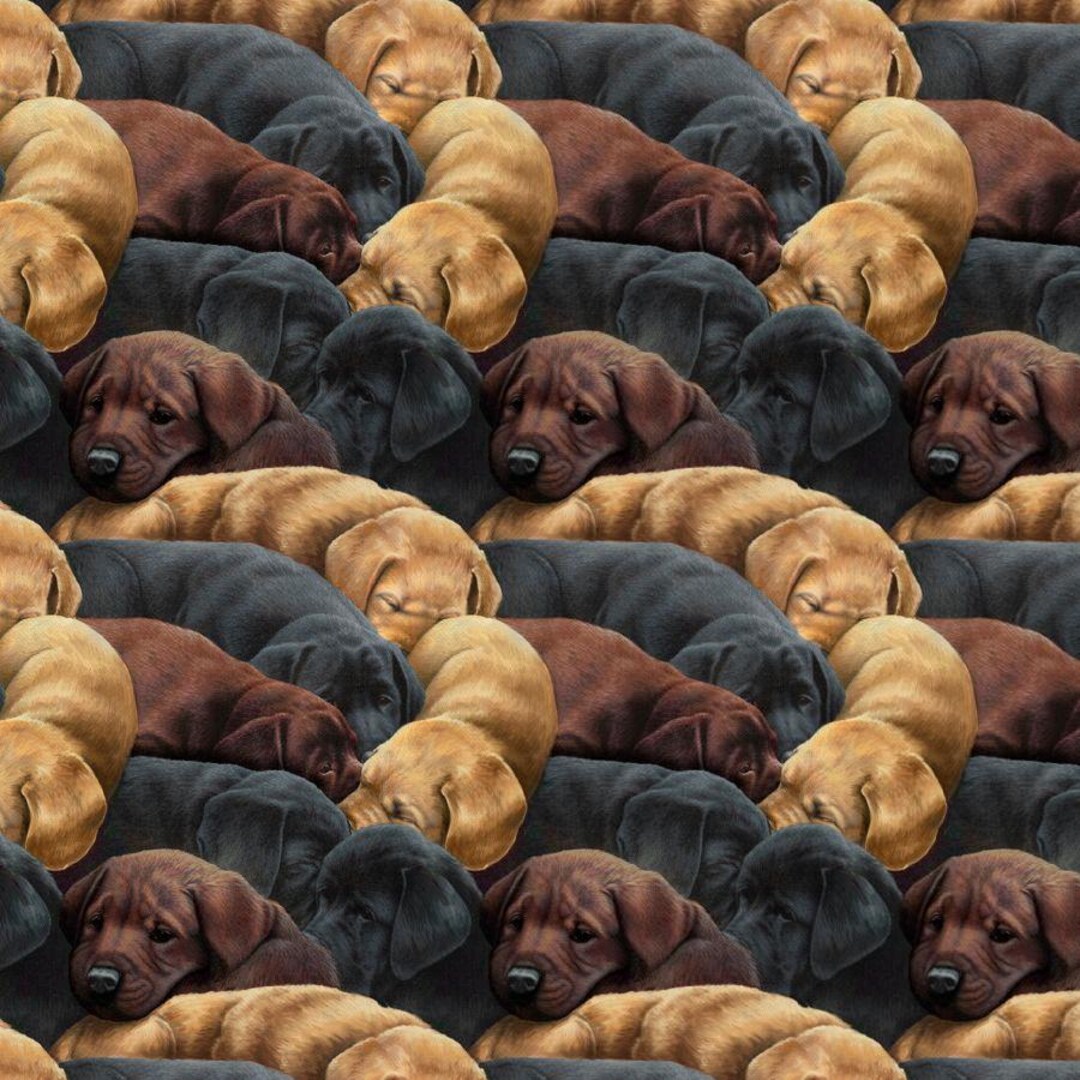 Quilting Treasures for the Love of Labs Packed Labradors Digital Multi ...