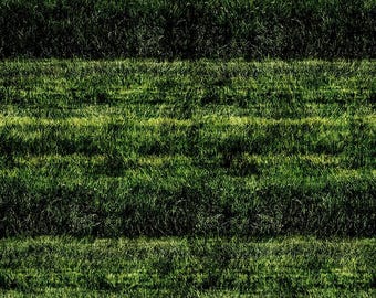 Quilting Treasures Earthly Delights Grassy Field Green Cotton Fabric by the Yard or Select Length 31293-G