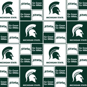 EOB~SykelEnterprises~College Cottons~Michigan~Blocks~Grün/Weiss~Baumwollstoff Meterware MIST-020