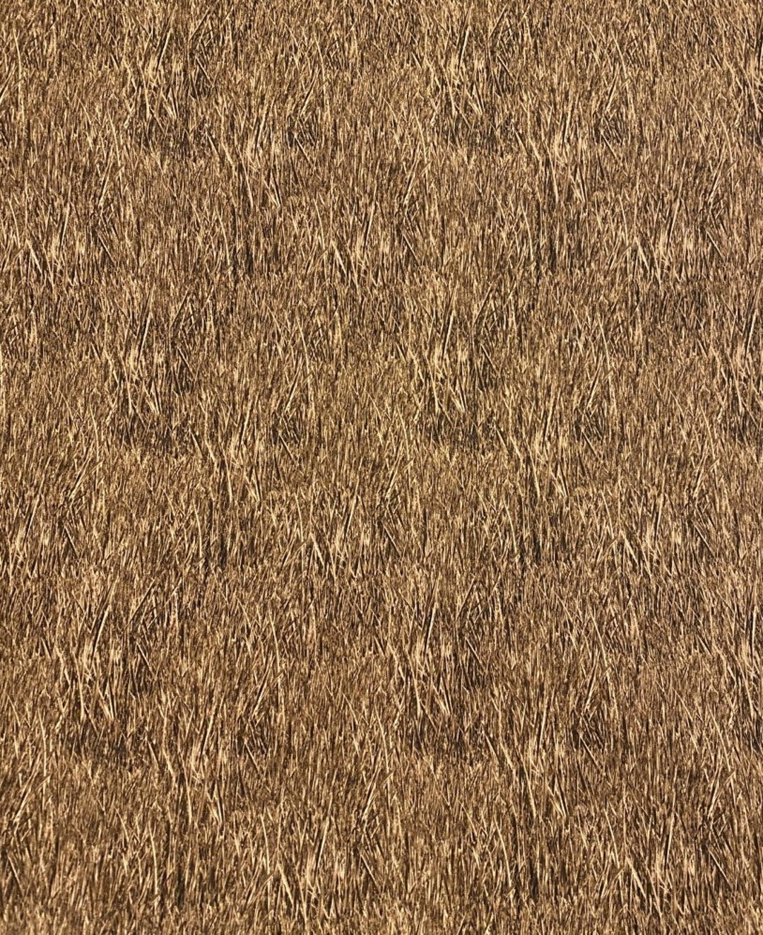 EOB Riley Blake Fish and Fowl Reeds Brown Cotton Fabric by the Yard ...