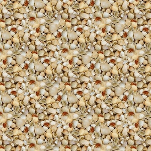 May include: A close-up image of a variety of seashells in shades of white, beige, and brown. The shells are arranged in a random pattern, creating a textured background.