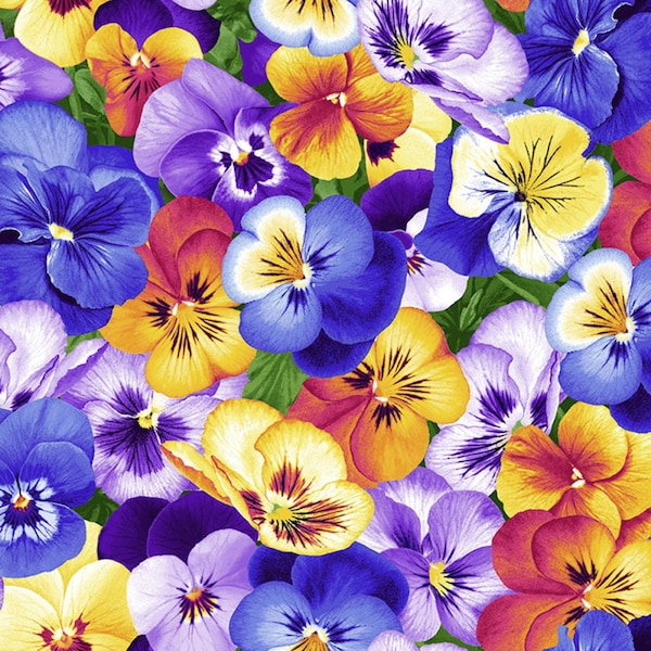 EOB~Timeless Treasures~Garden Bouquet~Packed Pansies~Multi~Cotton Fabric by the Yard or Select Length C1195-MULTI