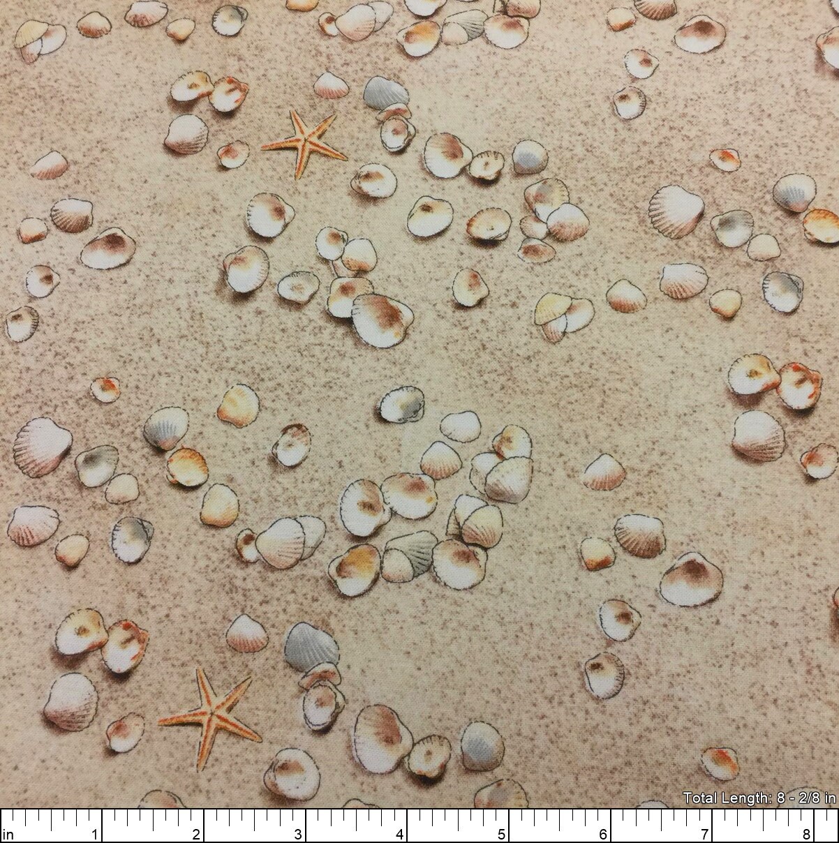Elizabeths Studio~landscape Medley~sand & Shells~sand~cotton