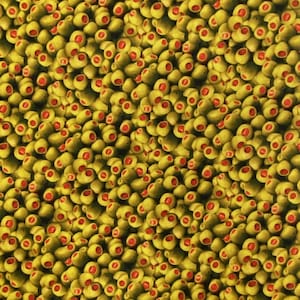 Windham~A La Carte~Olive You~Digital Print~Multi~Cotton Fabric by the Yard or Select Length 51902D-X