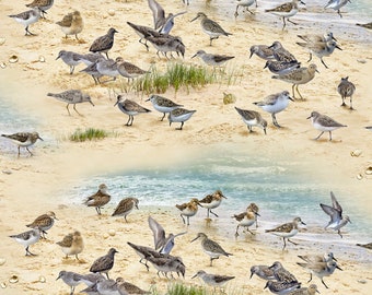 Elizabeths Studio Coastal Dreams Sandpipers Sand Cotton Fabric by the Yard or Select Length 593E-SAND