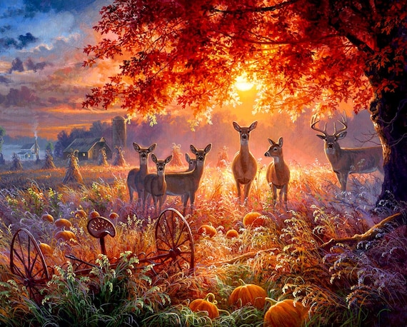 3 Wishes Fabric Through the Forest Light 44" x 35" Forest Light Panel Digital Print Multi Cotton Fabric by the Panel 20730-PNL
