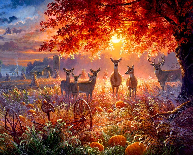 May include: A group of deer stand in a field of tall grass and pumpkins at sunset. The deer are brown and white with large antlers. The sun is setting behind a large tree with red leaves.