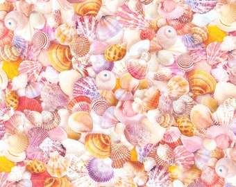 Robert Kaufman~Imaginings~Shells~Shell~Cotton Fabric by the Yard or Select Length SRKD20918376