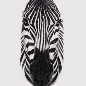 Riley Blake~Its a Crayola World~36&quot; Crayon Zebra Panel~Multi~Cotton Fabric by the Panel P10171-ZEBRA